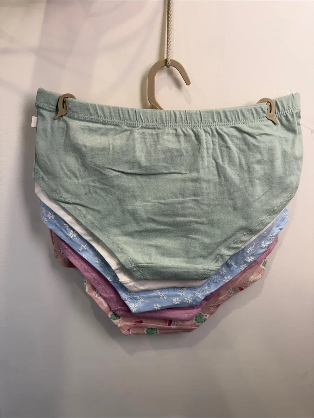 Poppy and Clay Girls' organic Cotton Briefs - 5 Pack